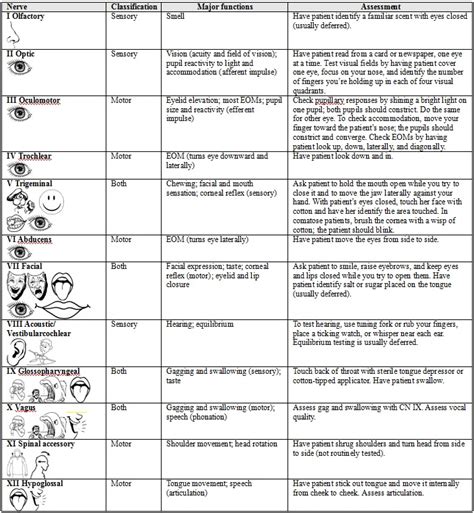 Rules help with cool checks and nerve checks !help¡ 